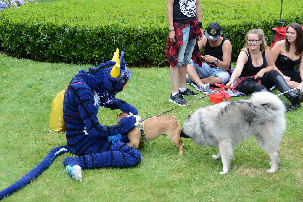 ../Images/Zaterdag Castlefest 2015 109.jpg